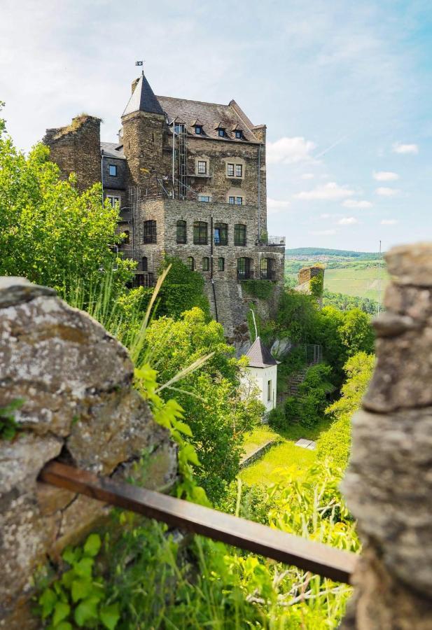 Ferienwohnung RheinSpaziert Dellhofen Exterior foto
